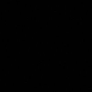 Meet your Posher, Shaylee